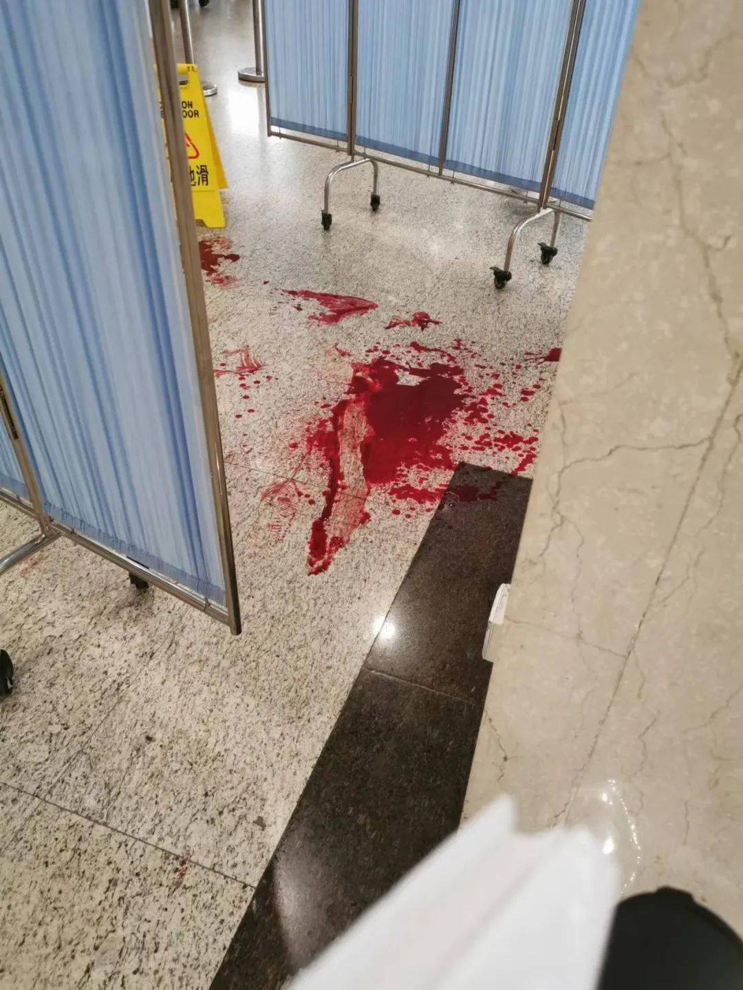 欧冠清晨走向成谜，新奥尔良鹈鹕临场应变，震撼外界，医务组通报恢复(埃弗顿球员内讧引离奇红牌)-华体会网址